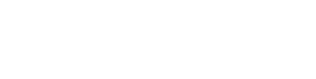 Platinum Web Studio