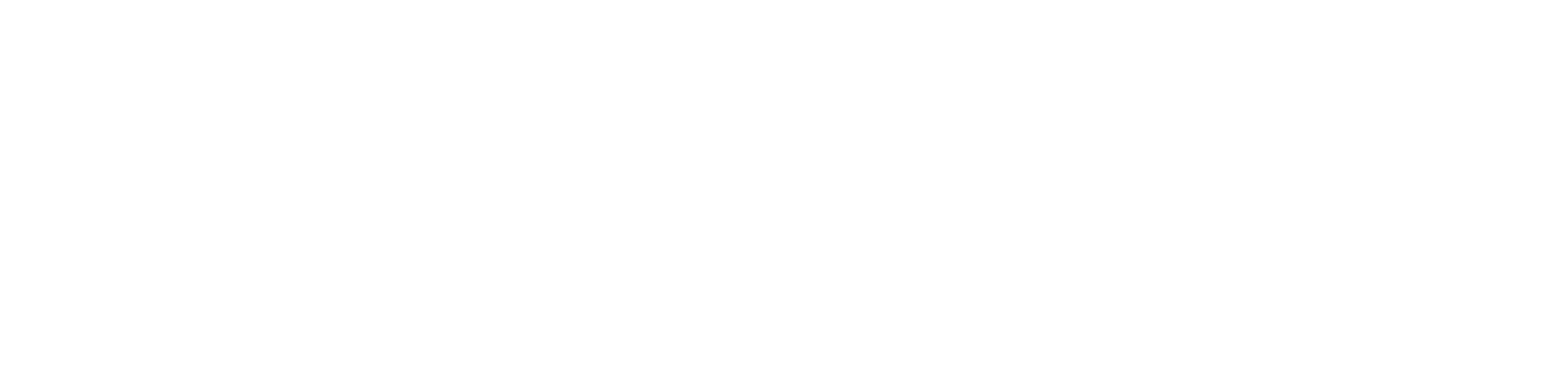 Platinum Web Studio logo